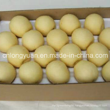 Export Standard Chinese New Crop Crown Pear